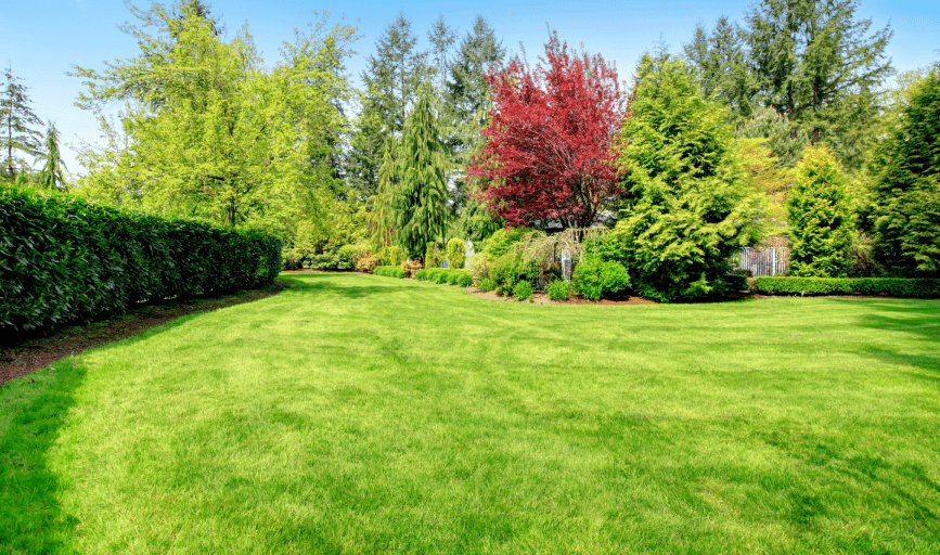 Lawn Care